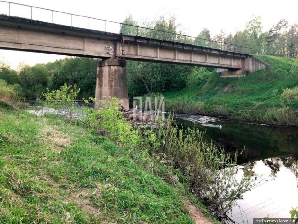 Пропавшую в Псковском районе трёхлетнюю девочку нашли мёртвой