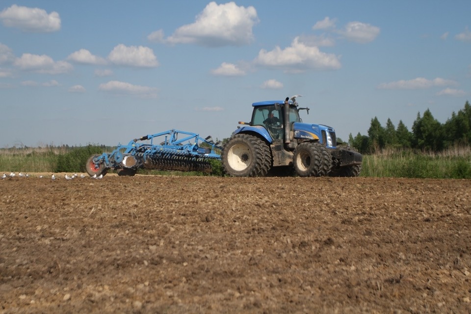 В 2019 году производство сельхозпродукции в Псковской области выросло почти на 19%