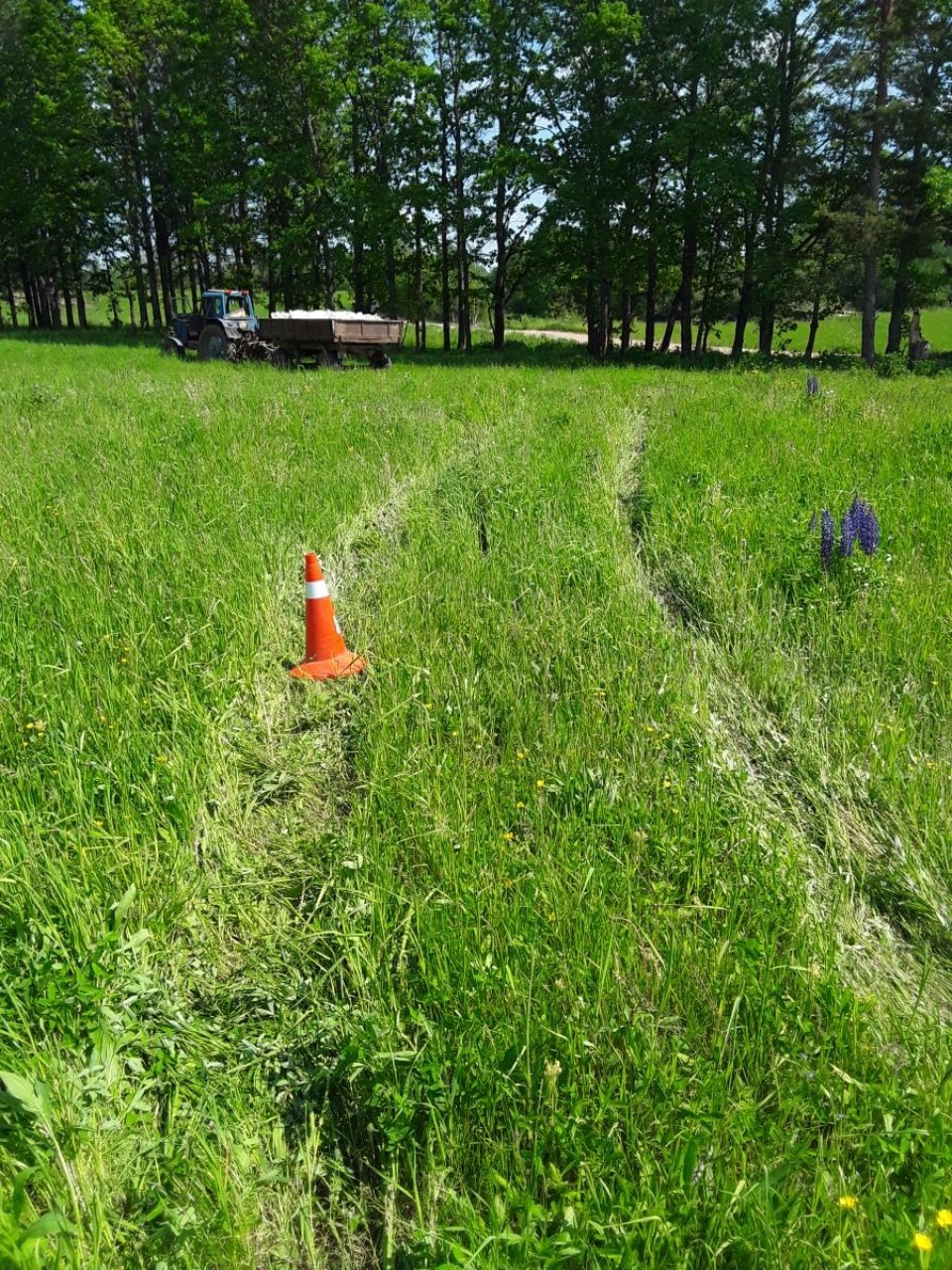 Тракторист пострадал в ДТП в Новоржевском районе Тракторист пострадал в ДТП в Новоржевском районе