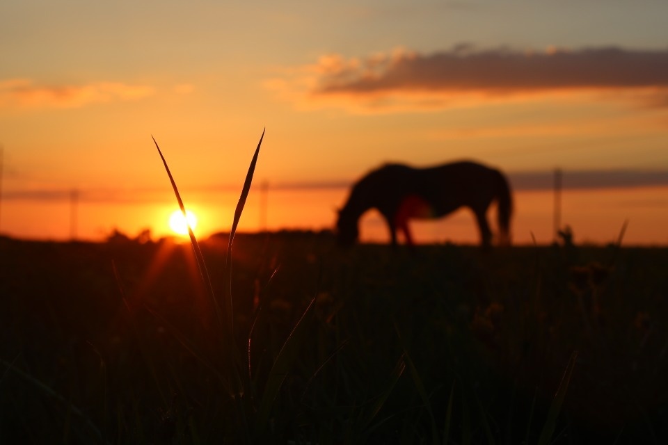 Погода в Псковской области в субботу: по дороге с облаками