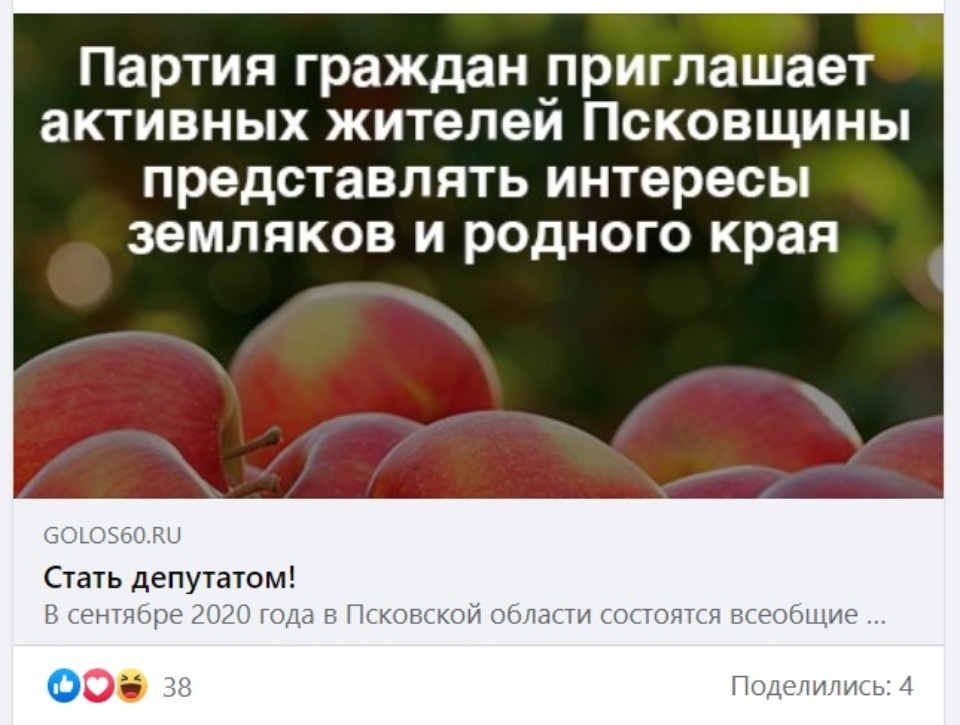 Большие маленькие выборы