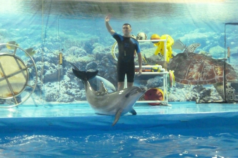 Почему Кабардинку рекомендуют для отдыха с детьми?