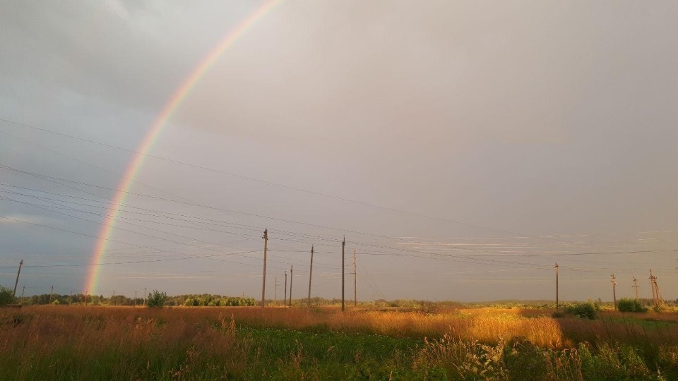 Грозы надвигаются на Псковскую область