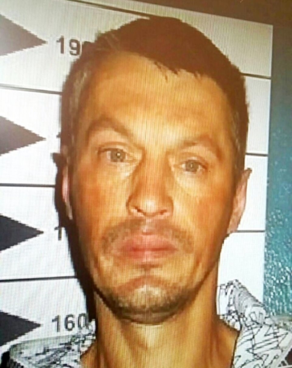 Полицейские больше года разыскивают пропавшего псковича