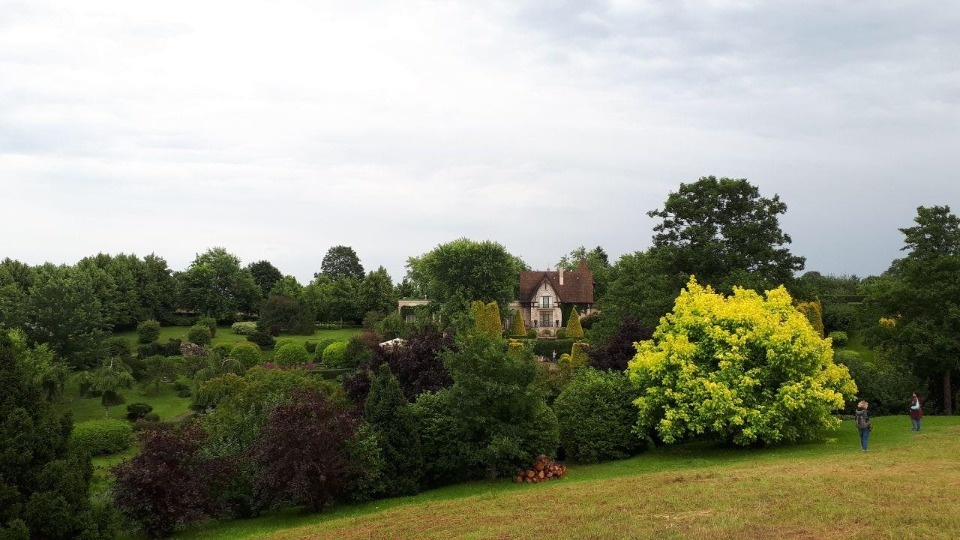 Ливни и грозы снова ожидаются в Псковской области