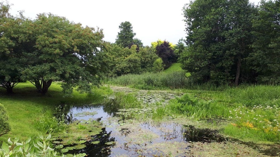Скандинавский циклон испортит погоду в Псковской области