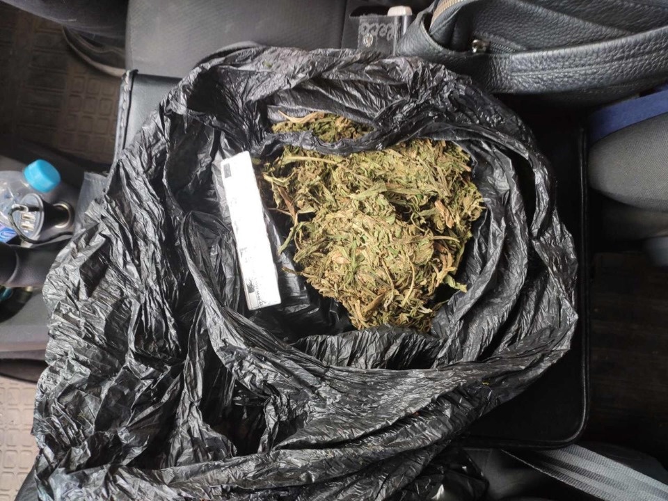 Двух продавцов марихуаны поймали в Опочецком районе