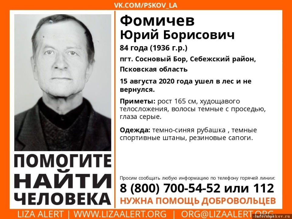 Пропавшего в лесу дедушку продолжают искать в Себежском районе