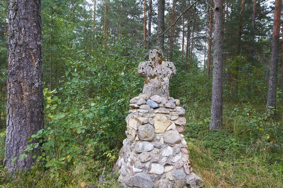 Живые и мёртвая