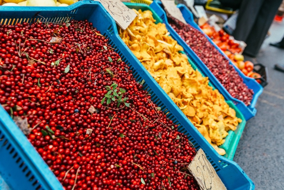 Активировать село