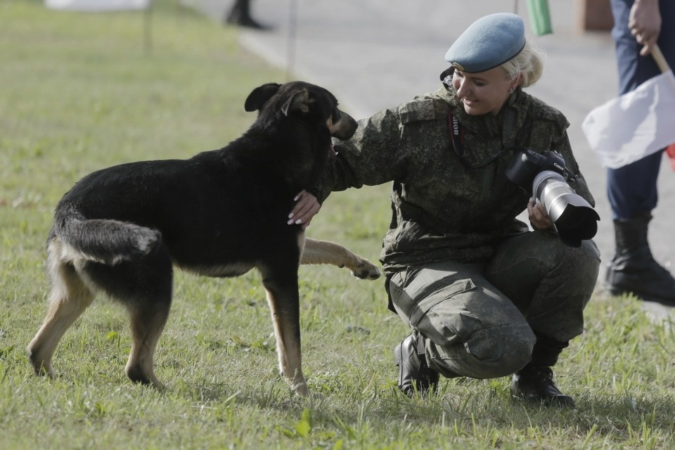 Преодолевая препятствия