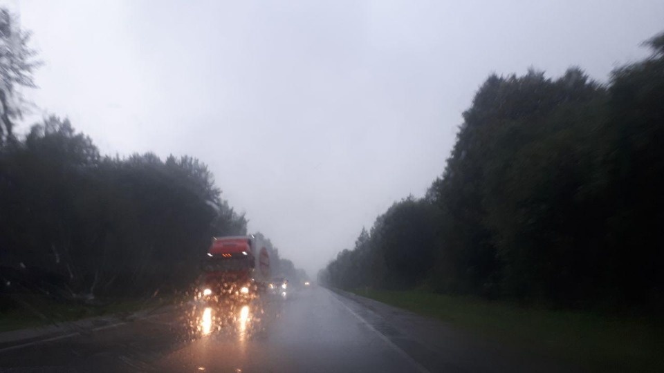 Усиление ветра прогнозируется в Псковской области в ближайшие часы