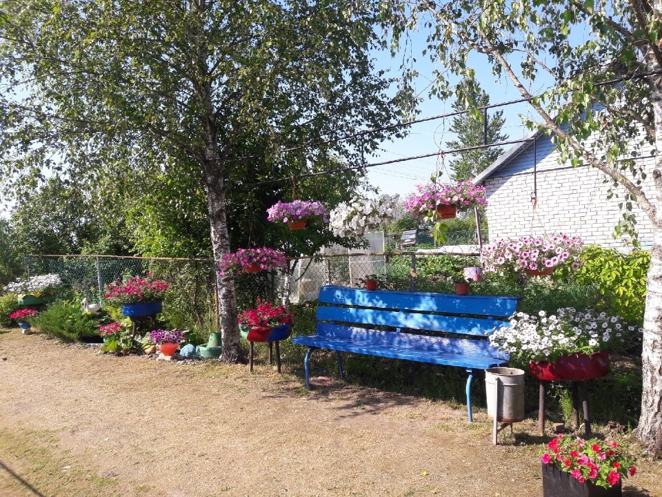 Деревенские бабки