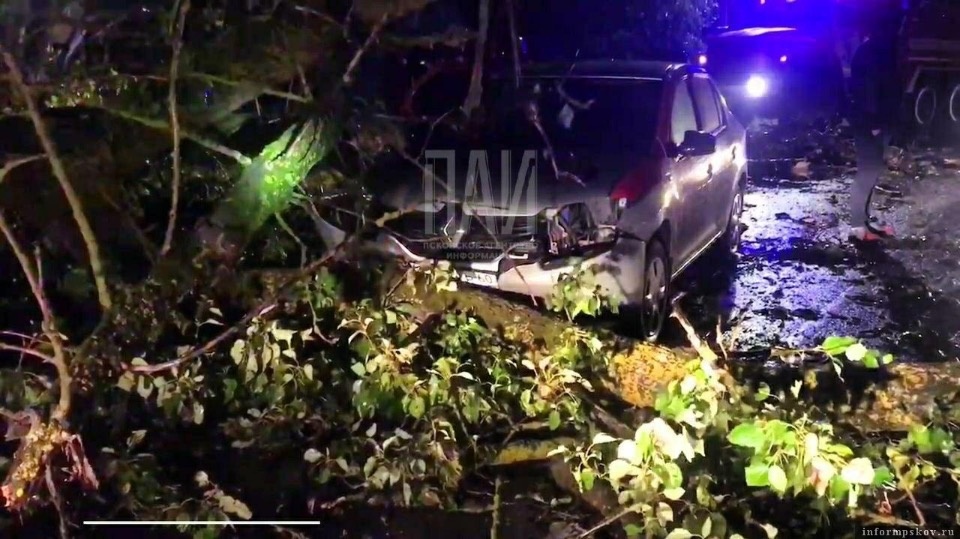 В Запсковье на автомобиль упало дерево