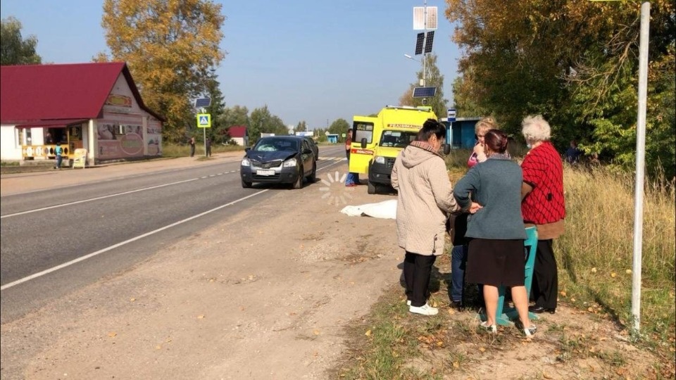 В Псковском районе насмерть сбита женщина на пешеходном переходе