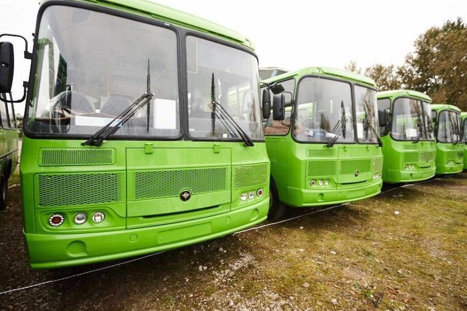 Зелененький он был