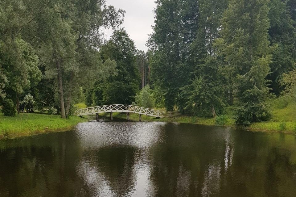 Короткое «бабье лето» придёт 30 сентября в Псковскую область