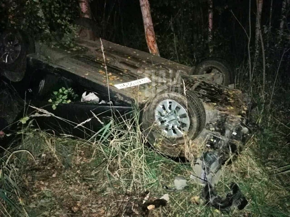 Водитель погиб после столкновения с лебедем в Невельском районе