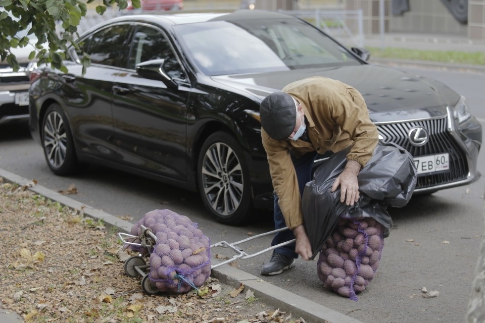 Вкус осени Вкус осени