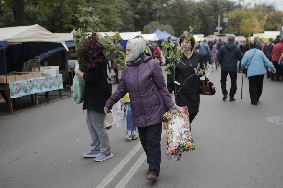 Вкус осени Вкус осени