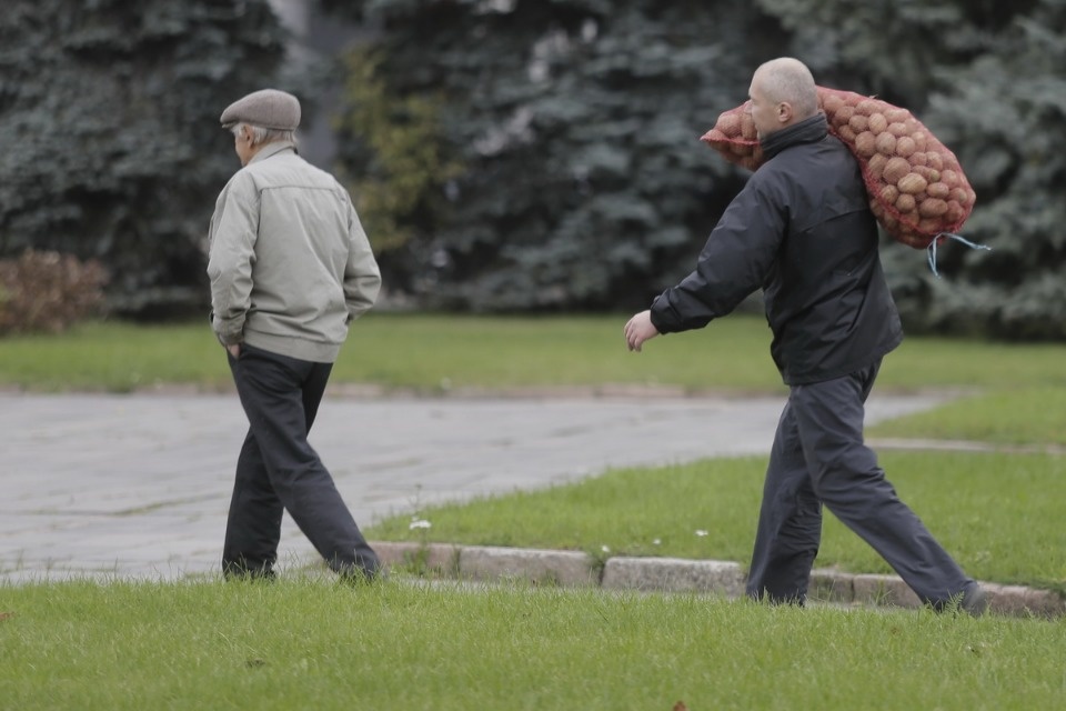 Вкус осени Вкус осени