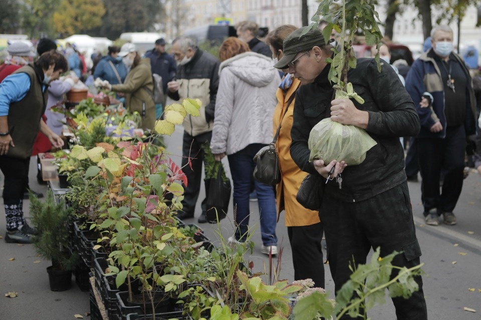 Вкус осени Вкус осени