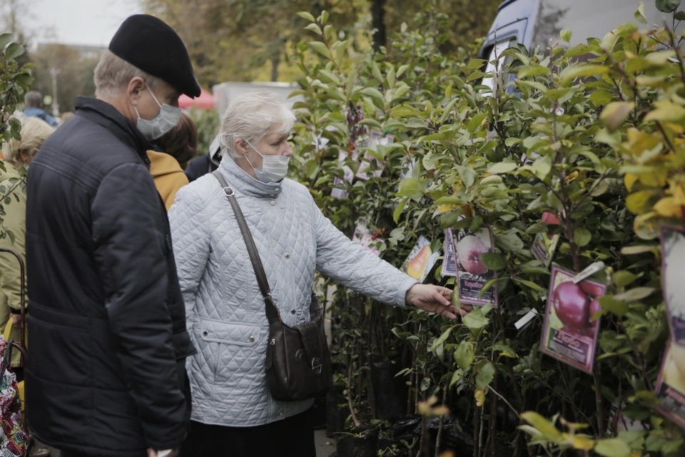 Вкус осени Вкус осени