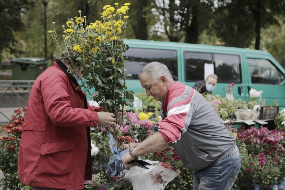 Вкус осени Вкус осени