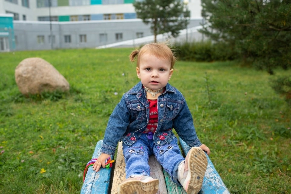   Средства от продажи гигантского яблочного пирога направят на лечение трехлетней печерянки