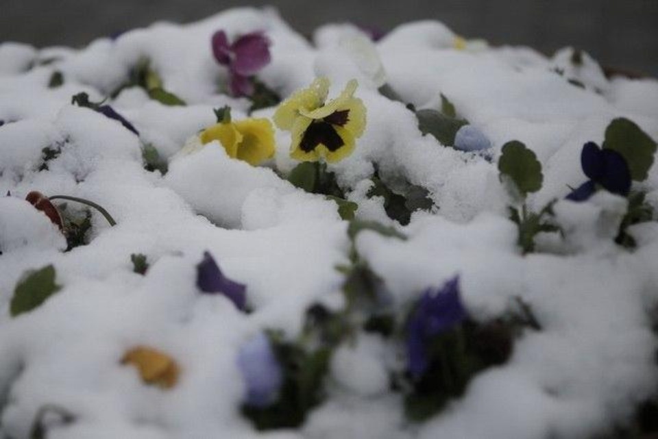 Перейти на зимнюю резину рекомендуют синоптики псковским автомобилистам 