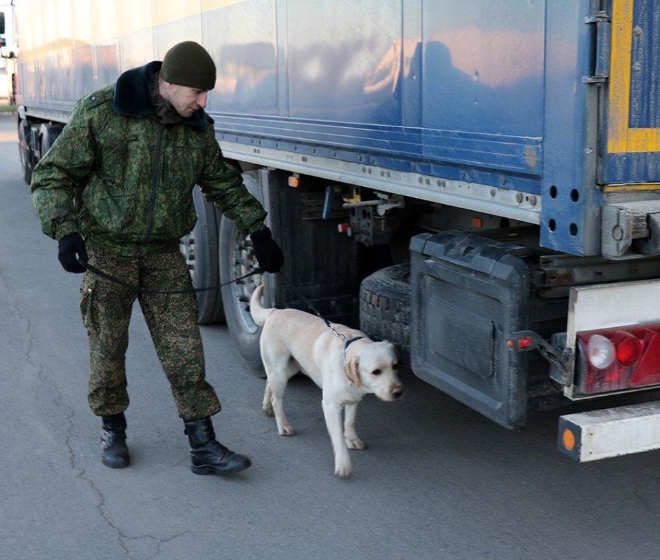 Михаил Ведерников поздравил таможенников с профессиональным праздником