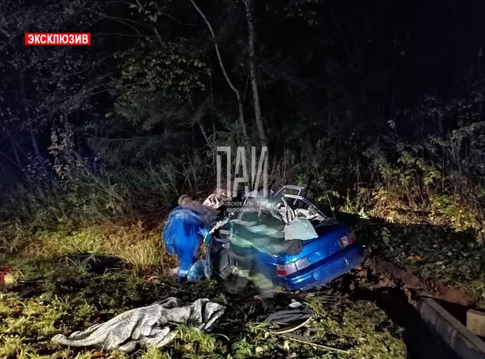 Один человек погиб и трое пострадали при столкновении с лосем на трассе в Псковской области