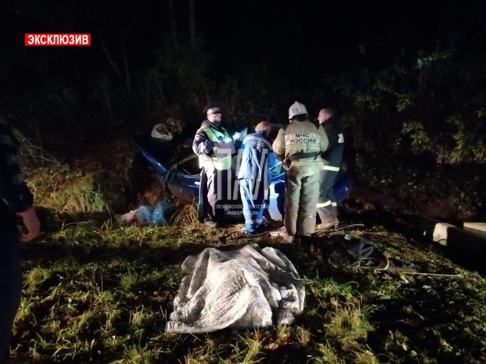 Один человек погиб и трое пострадали при столкновении с лосем на трассе в Псковской области