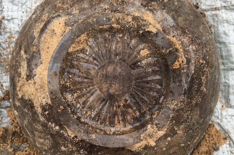 Необычные находки обнаружили поисковики на месте расстрела мирных жителей под Псковом