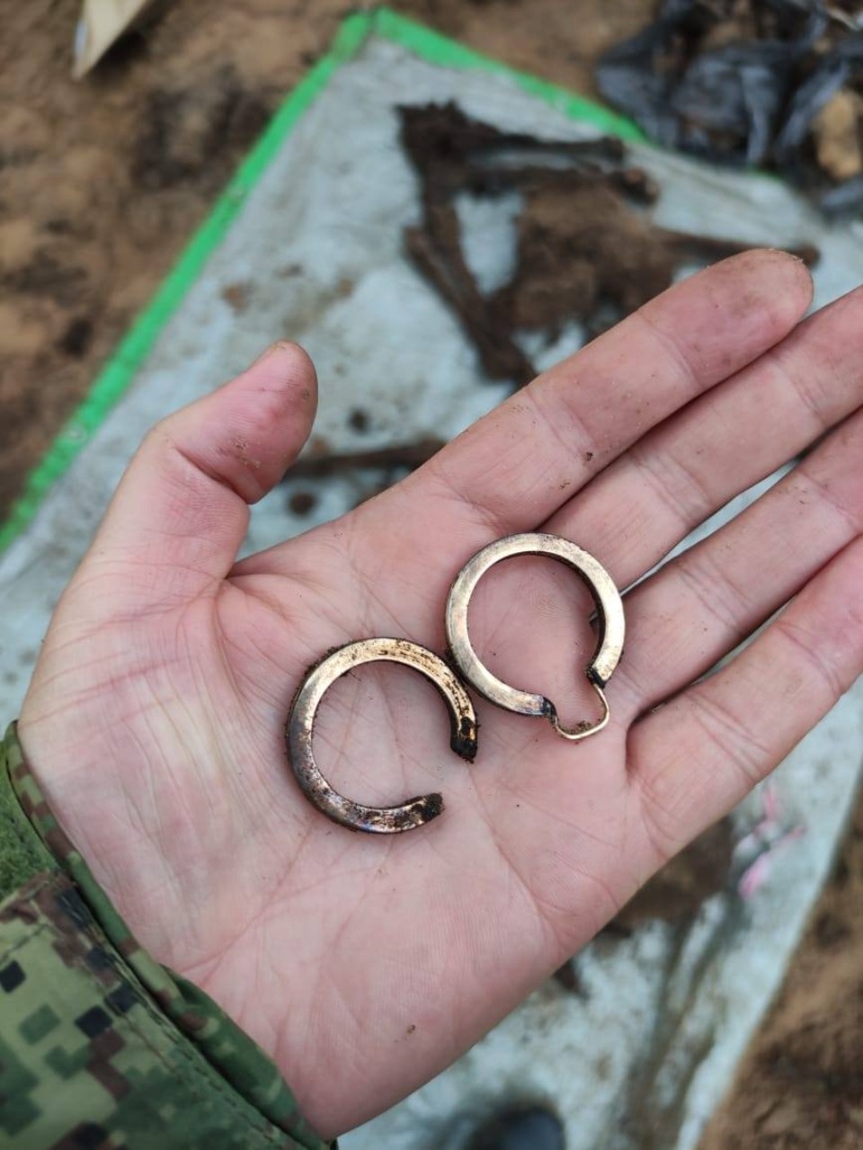  Останки 188 человек нашли на раскопках в местах массовых расстрелов под Псковом  