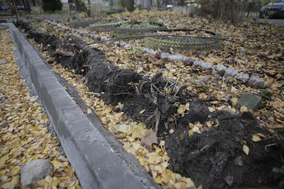 Придворные страсти