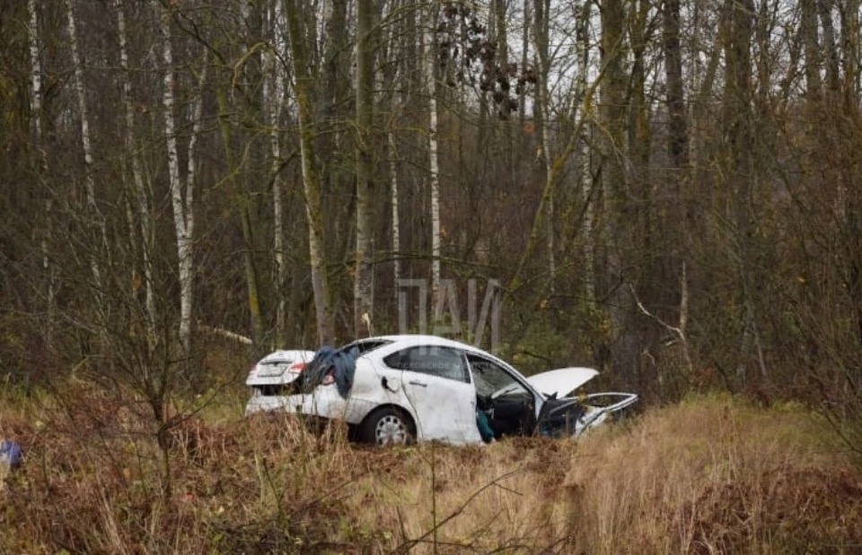В ДТП в Опочецком районе погиб человек В ДТП в Опочецком районе погиб человек