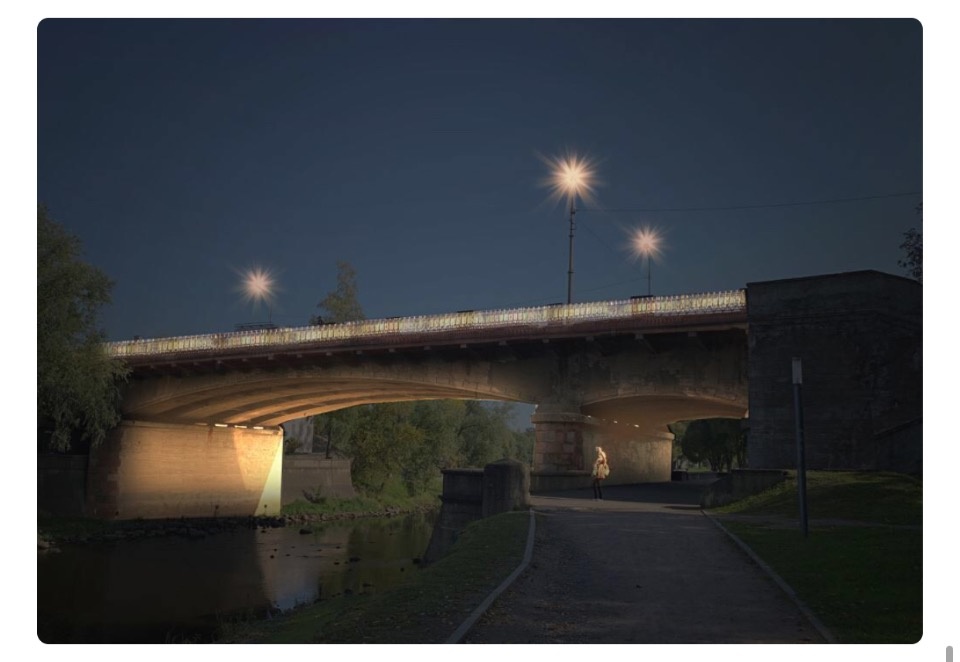 Завершилось голосование за выбор новых новогодних украшений для Пскова