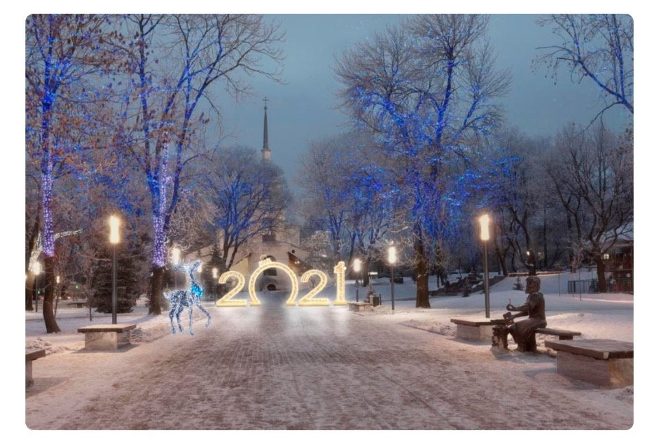 Завершилось голосование за выбор новых новогодних украшений для Пскова