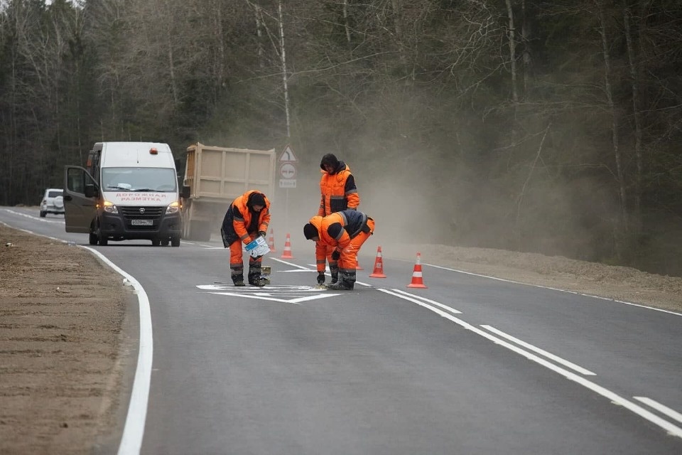 21 дорогу в 17 районах Псковской области отремонтируют в рамках нацпроекта