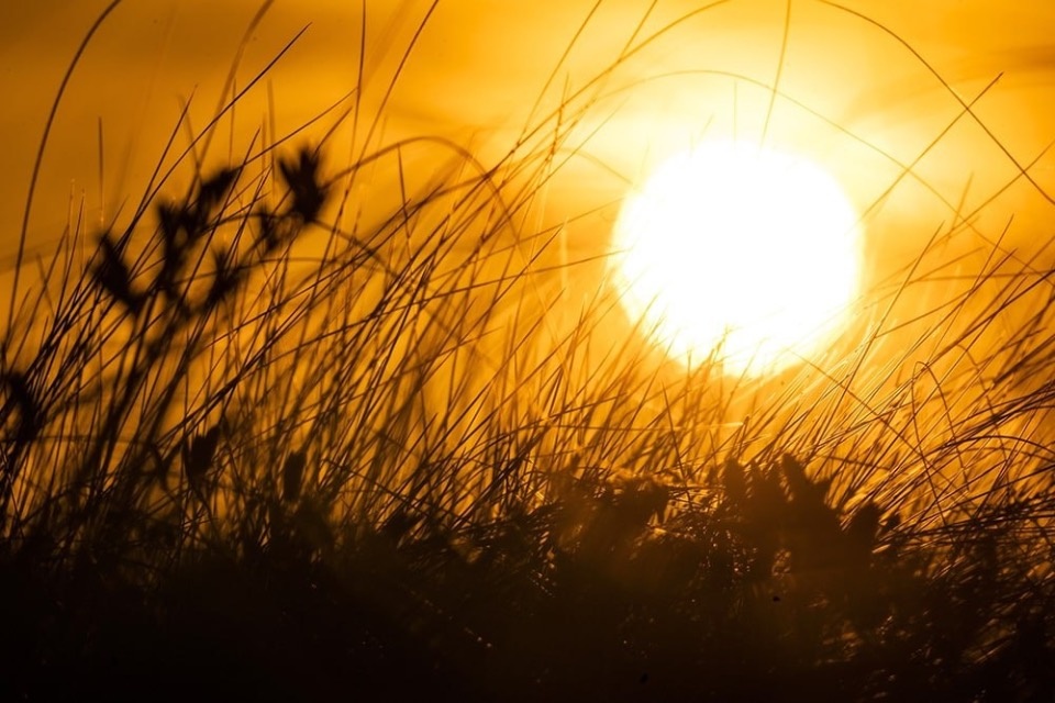 Туристический сезон в Полистовском заповеднике завершится досрочно из-за коронавируса