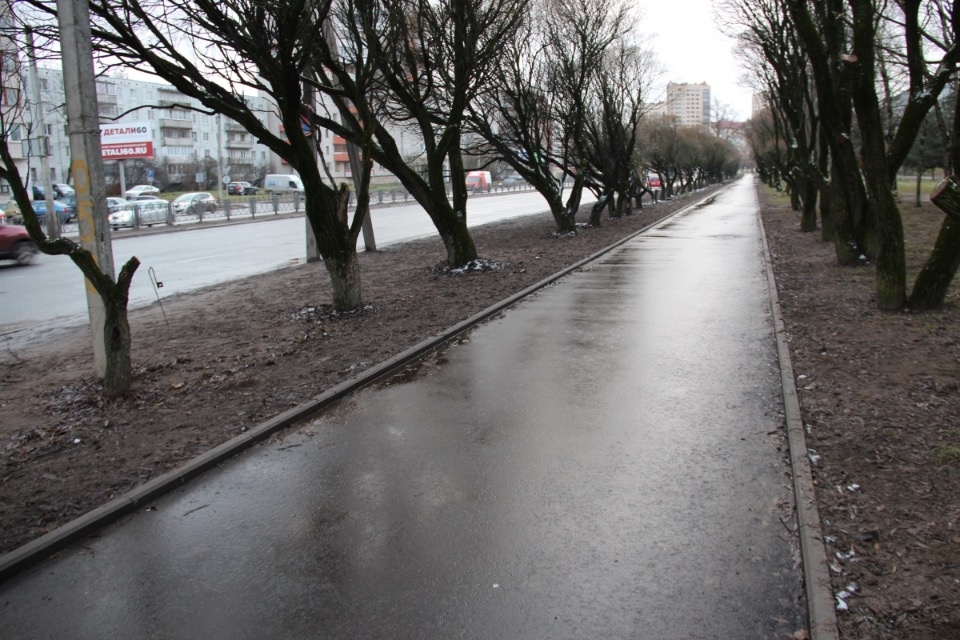 Тротуары вдоль улицы Юбилейной в Пскове отремонтировали впервые с момента строительства