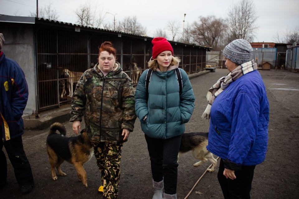 Актриса Юлия Пересильд накормила псковских собак