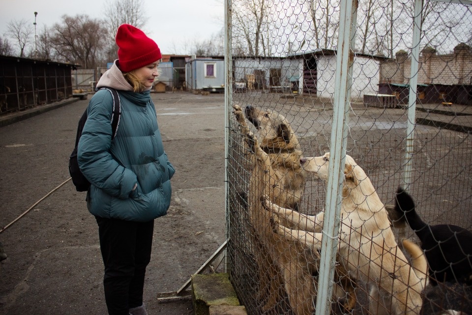 Актриса Юлия Пересильд накормила псковских собак