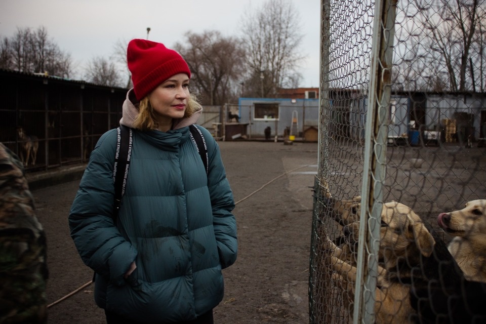 Актриса Юлия Пересильд накормила псковских собак