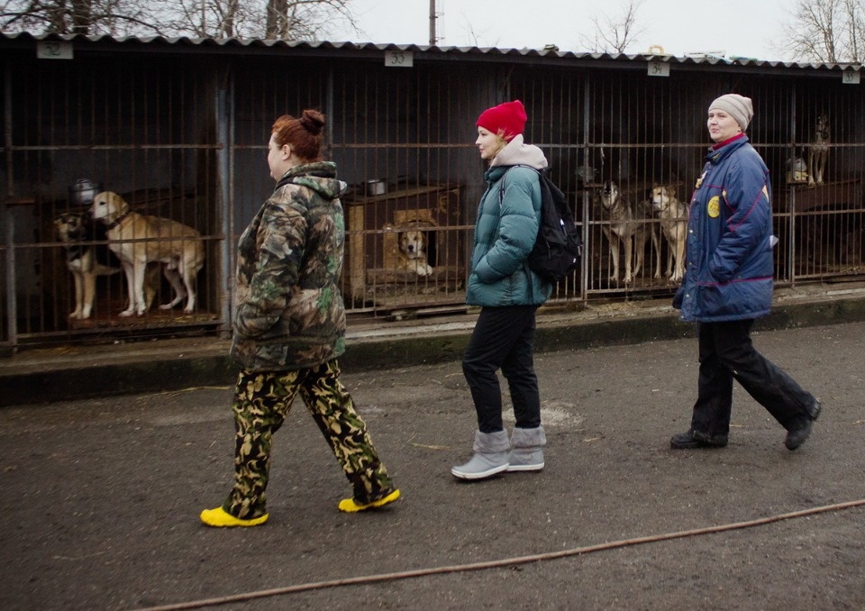 Дама с собачками