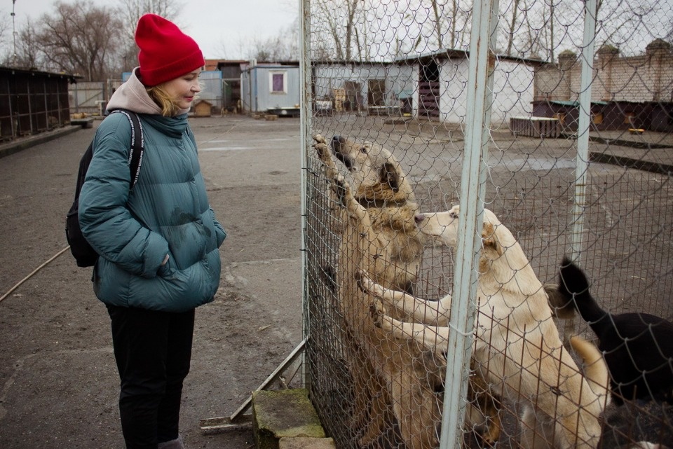 Дама с собачками