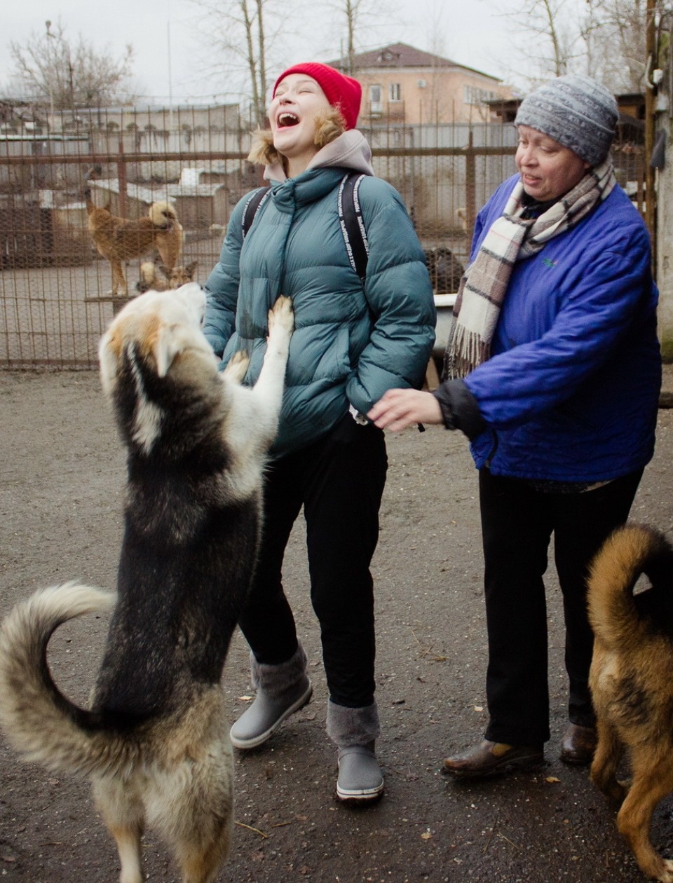 Дама с собачками