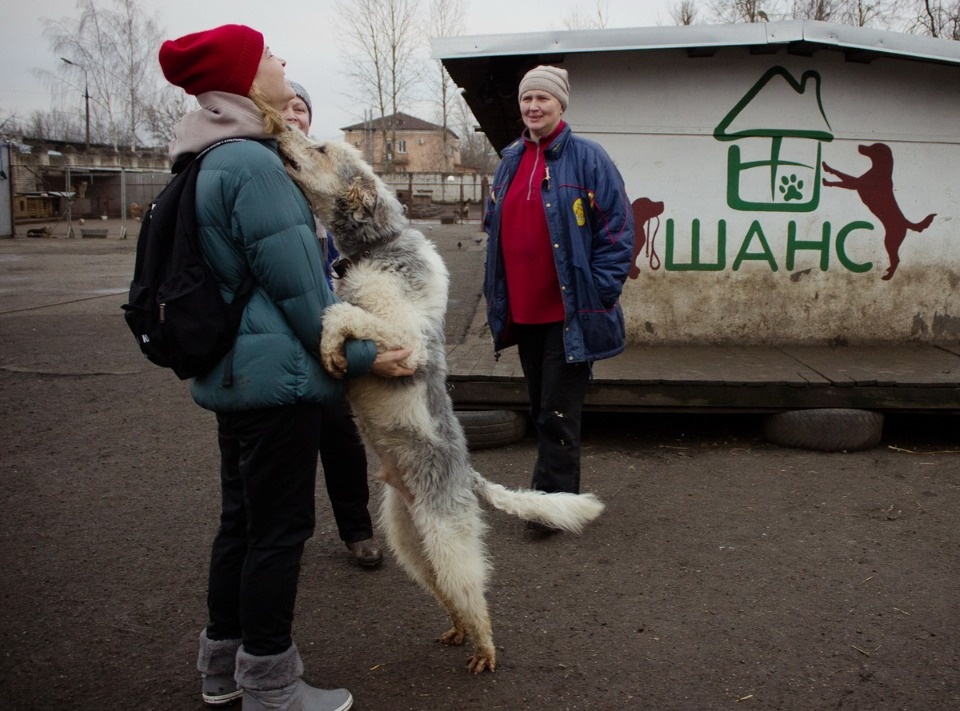 Дама с собачками
