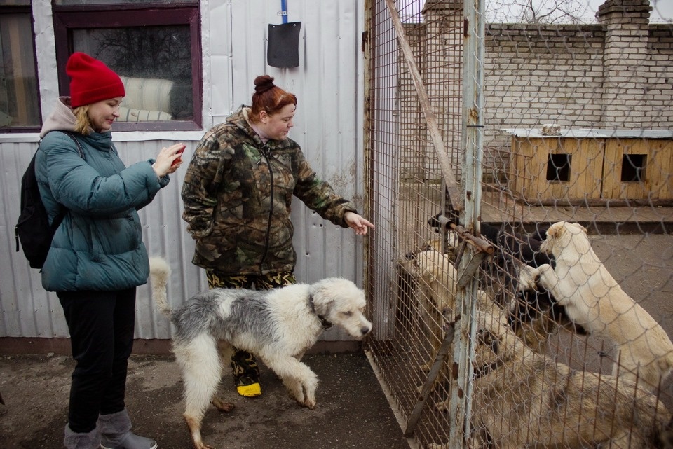 Дама с собачками